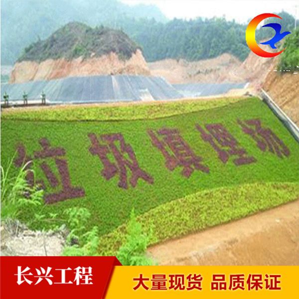 垃圾填埋场城建标椎2.0mm土工膜