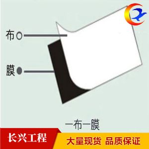 各种型号 复合土工膜  欢迎前来咨询